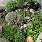 Apartment Riepertinger Bad Feilnbach
